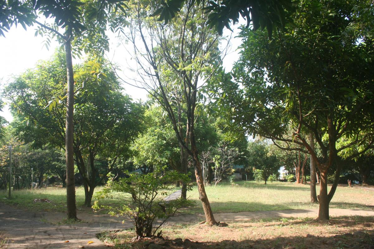 Muzon Overlooking Property